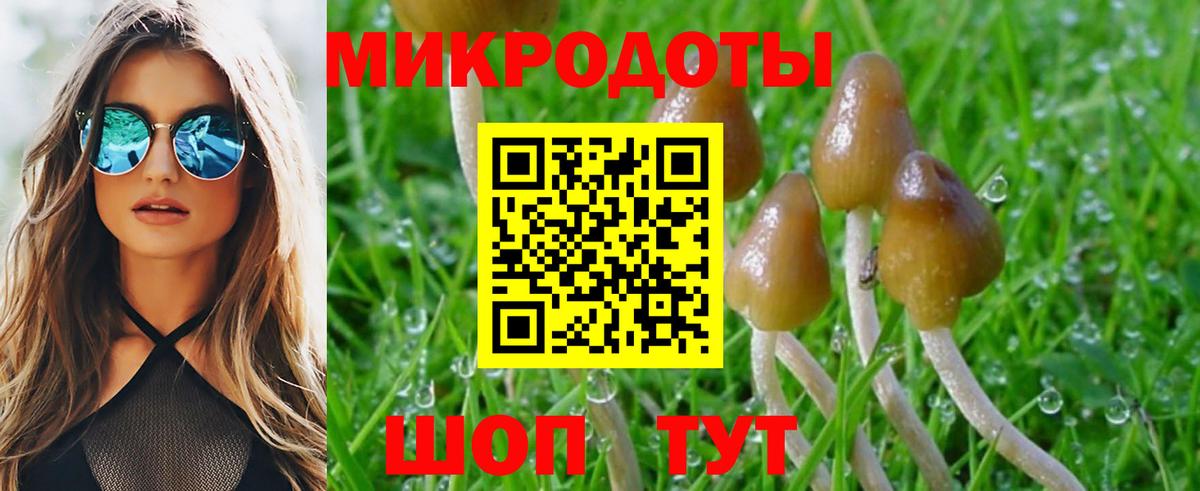 Псилоцибиновые грибы прущие грибы Красноперекопск