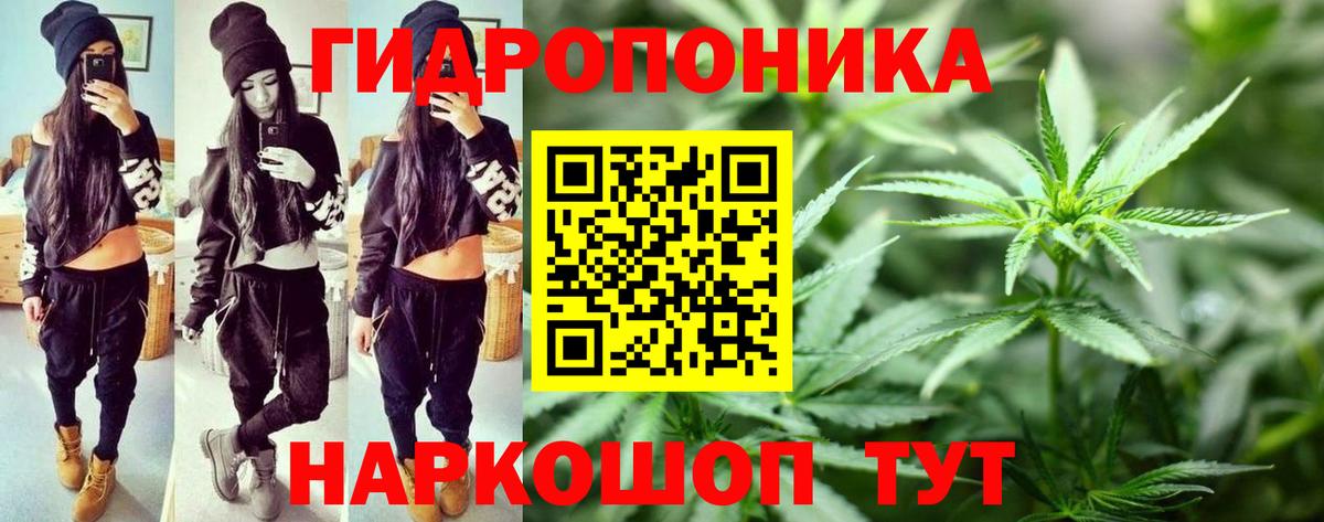 Каннабис White Widow  Бошки марихуана индика  МАРИХУАНА тримм  Вход с VPN  Красноперекопск 